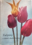 Tulipány a ostatní cibulové květiny