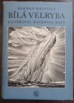 Bílá velryba