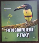 Fotografujeme ptáky