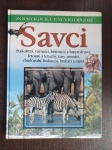 Zoologická encyklopedie Savci 1: Ptakořitní, vačnatci, bércouni a hmyzožravci  a další