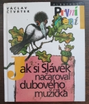 Jak si Slávek načaroval dubového mužíčka 