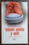 Jednou nohou v nebi