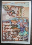 Soukromá vichřice, Mladý muž a bílá velryba