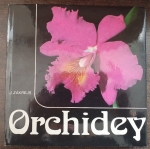 Orchidey