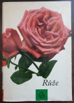 Růže