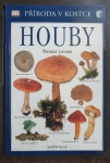 Houby