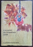 Chlapec ze starého lesa