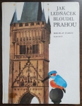 Jak ledňáček bloudil Prahou
