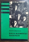 Kalle Blomkvist zasahuje