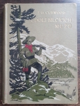 Údolí mlčících mužů
