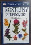 Rostliny Středomoří