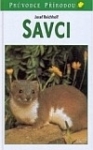 Savci