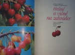 Třešně a višně na zahrádce, Jabloně a hrušně na zahrádce, Maliny a ostružiny na zahrádce, Pěstování zeleniny na vysokých záhonech